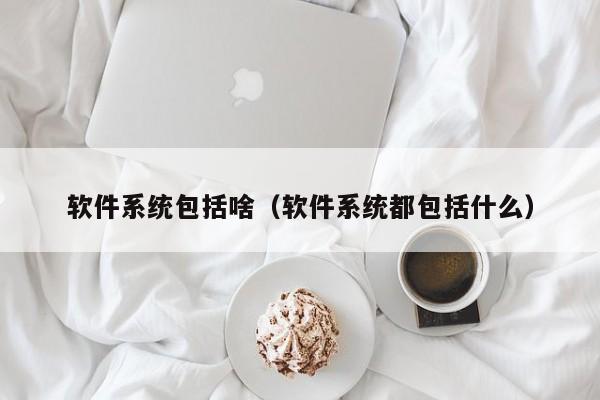 软件系统包括啥（软件系统都包括什么）