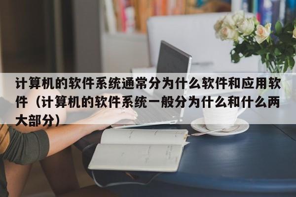 计算机的软件系统通常分为什么软件和应用软件（计算机的软件系统一般分为什么和什么两大部分）