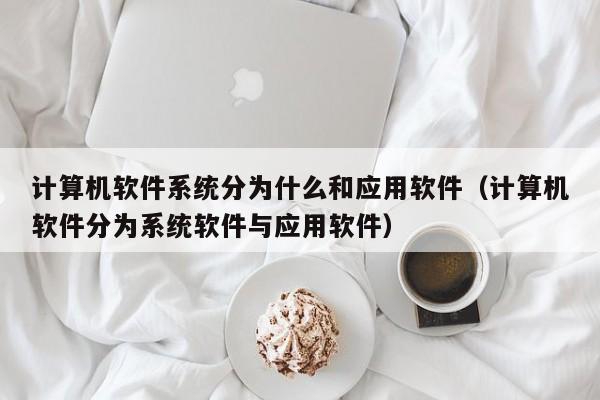 计算机软件系统分为什么和应用软件（计算机软件分为系统软件与应用软件）