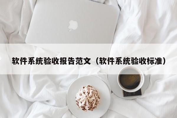 软件系统验收报告范文（软件系统验收标准）