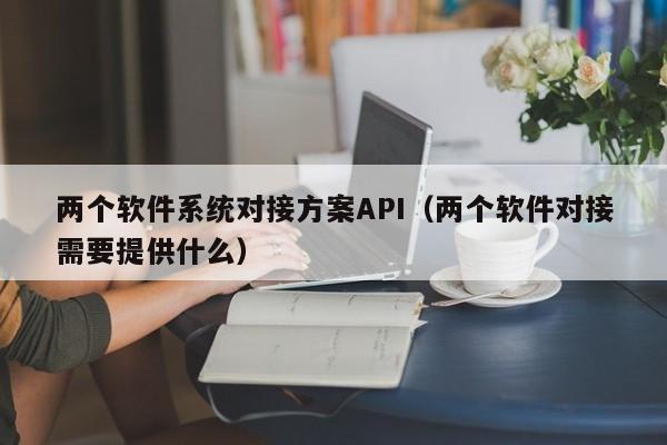 两个软件系统对接方案API（两个软件对接需要提供什么）