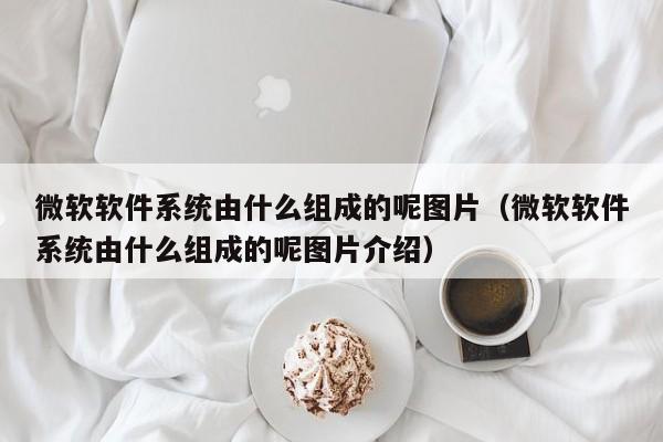 微软软件系统由什么组成的呢图片（微软软件系统由什么组成的呢图片介绍）