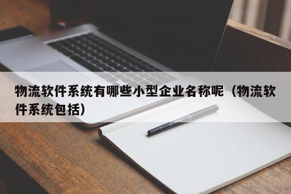 物流软件系统有哪些小型企业名称呢（物流软件系统包括）