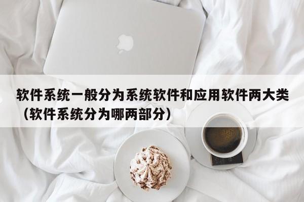 软件系统一般分为系统软件和应用软件两大类（软件系统分为哪两部分）