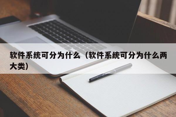 软件系统可分为什么（软件系统可分为什么两大类）