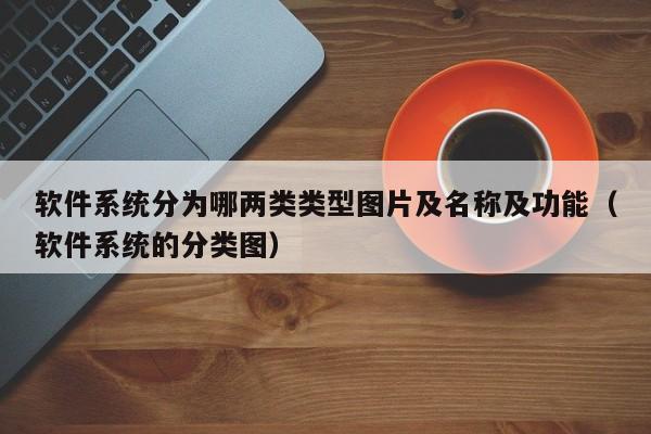 软件系统分为哪两类类型图片及名称及功能（软件系统的分类图）