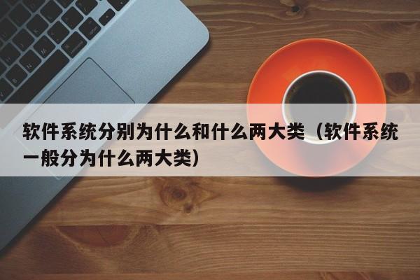 软件系统分别为什么和什么两大类（软件系统一般分为什么两大类）